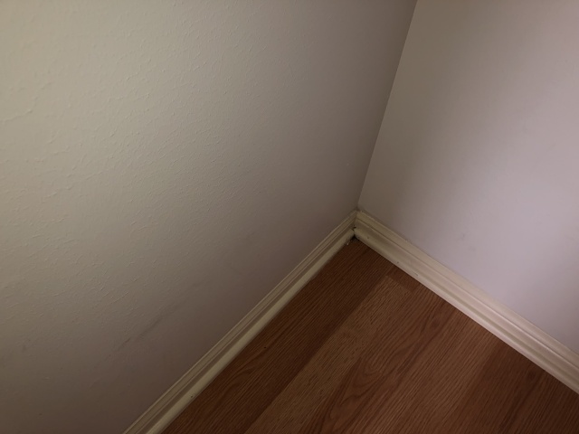 006B5778-AC98-41A4-8A04-3773B58F42CE