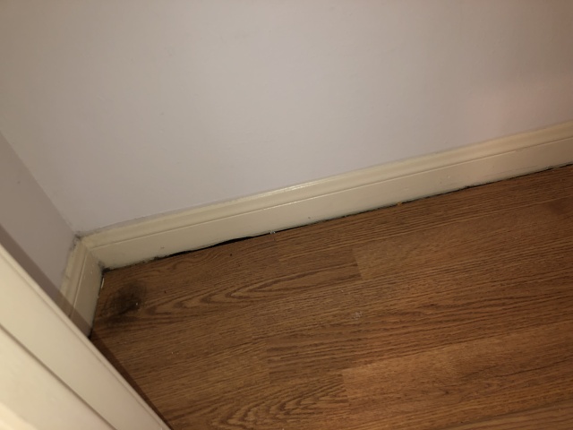 299A465D-A957-4319-A027-F5D322150622