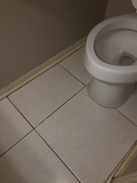 38703D78-74B6-4C24-9449-61E9D792CFE9