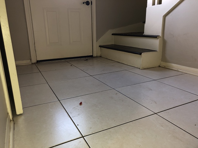 395B4A7B-868B-4F11-8260-8EF6932F1488