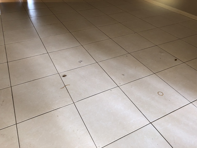 3E636DF2-D7D0-4050-92F4-89D8C1EFFC2C