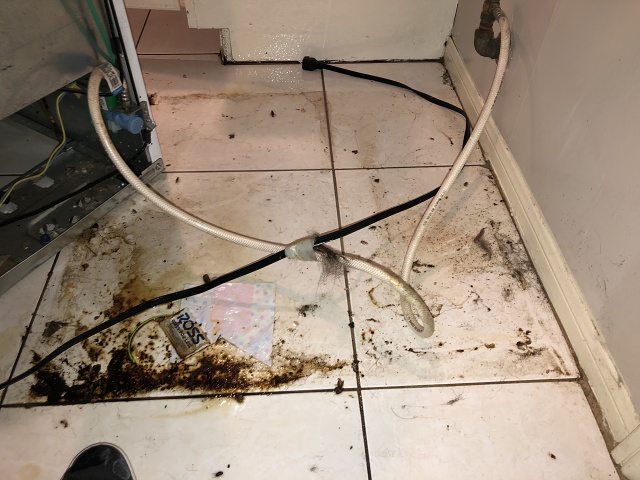 561A01AA-13A3-40B7-AD42-74A6B1640C0B