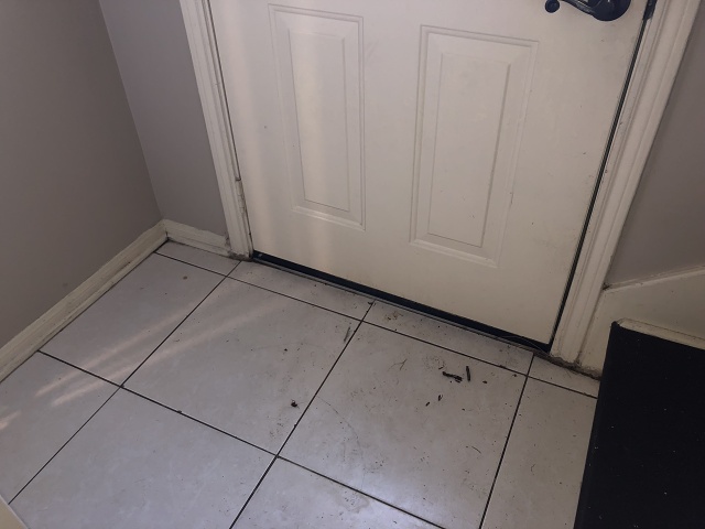 5D268E15-CD63-43EB-8A37-E70F2BFC6DB4