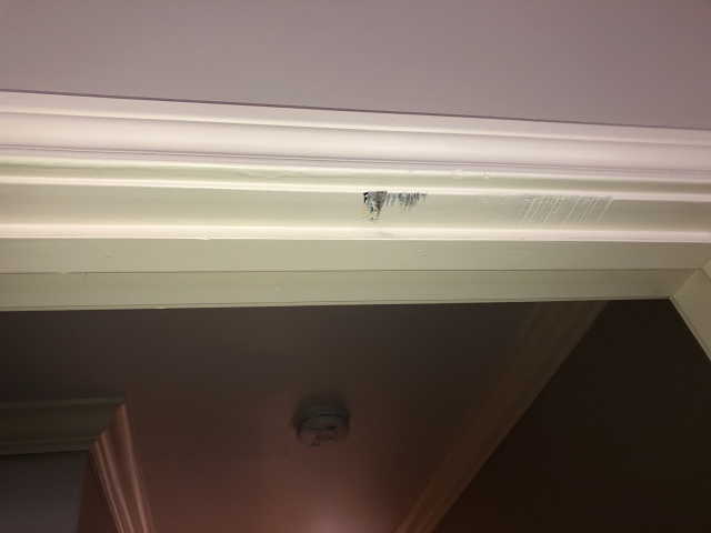 5D8DA31B-38C0-4A5B-AFB8-E76C56674187