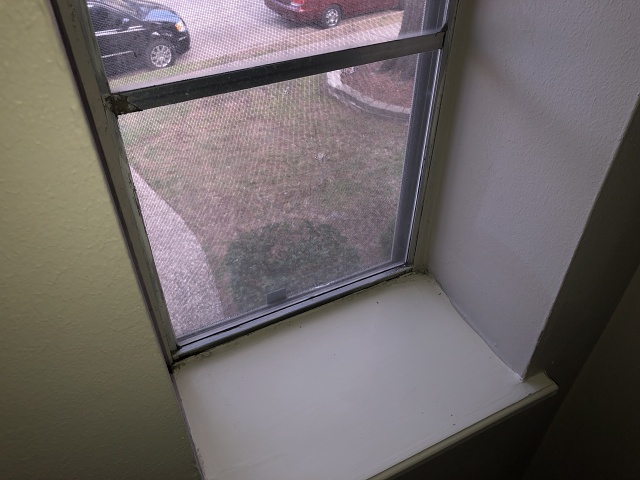 8D3206EC-C174-464B-8F33-97F3DB0FB935