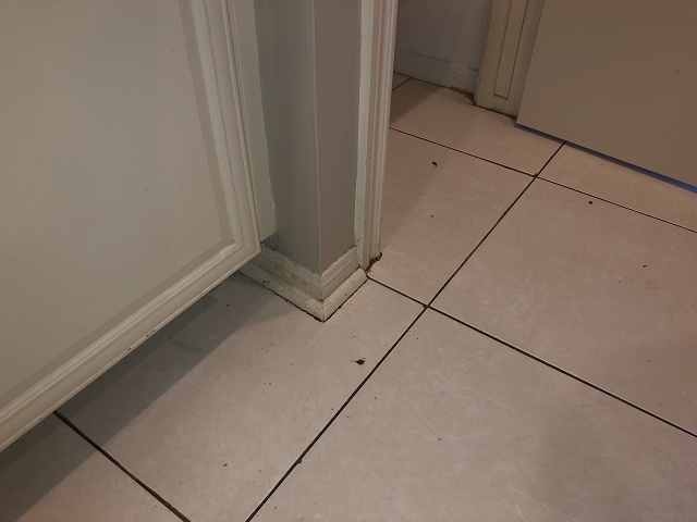 95D6FE23-2AA5-4152-9EFC-9F5887BF18C3