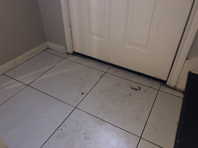 9C48C426-880F-43B9-9030-A2408FD8EC24