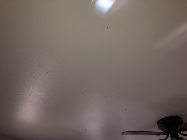 A6822FDA-3349-4473-A897-168B48779650