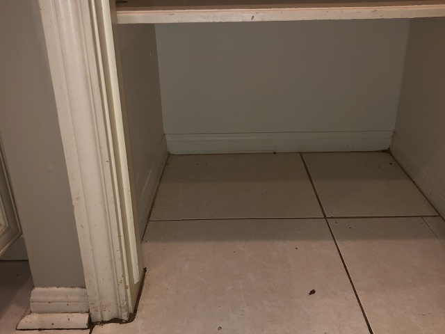 B5C42A5F-F281-43BB-ABB5-04AC6C71C27E