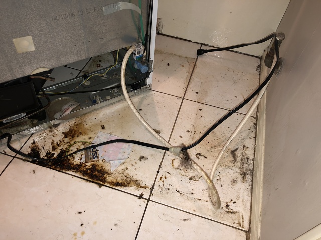 C36440AC-F698-4469-82AF-F060E30EE21F