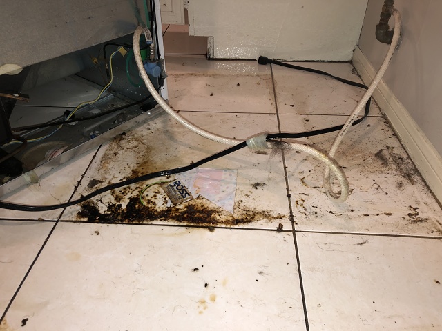 CDB2D001-EFB3-43AC-BD4B-CA01798A646E