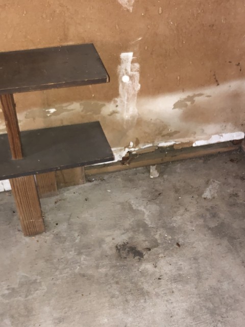 E2512B9F-C8E2-4181-9495-3CECFA463F23